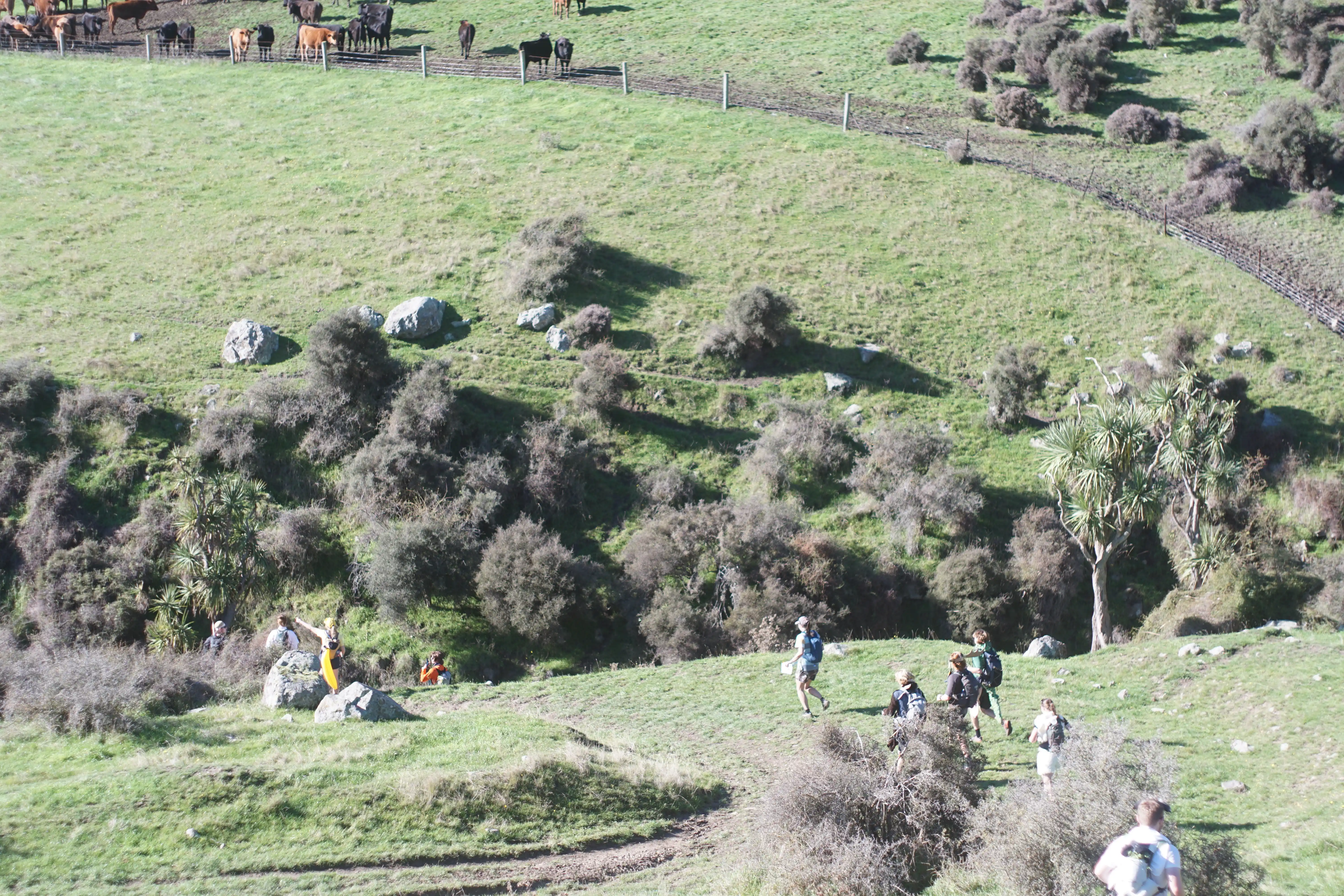DSC08999_2_11zon.webp